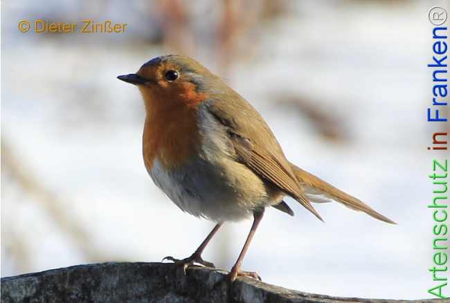 Bild zum Eintrag (1135258-160)