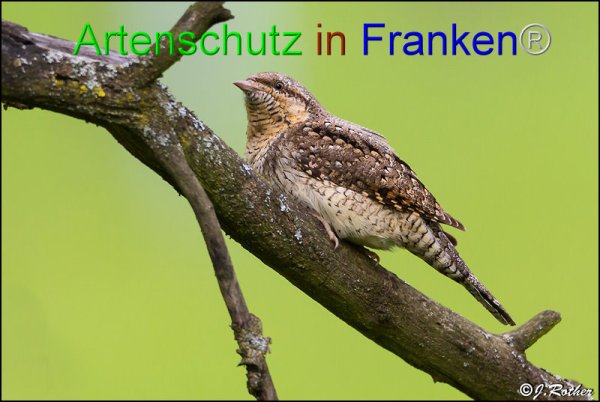 Bild zum Eintrag (1135586-160)