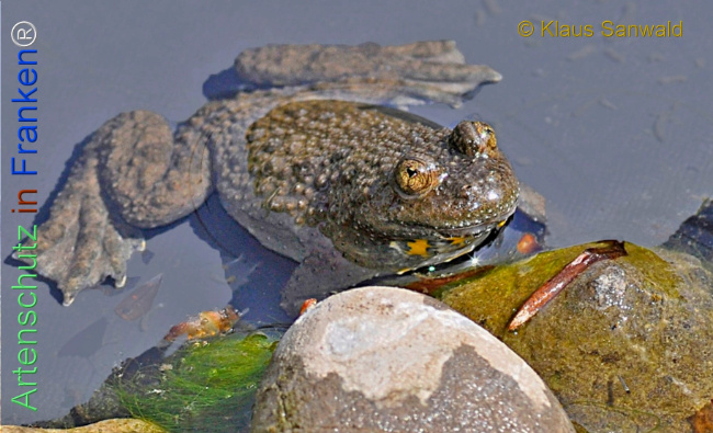 Bild zum Eintrag (1135610-160)