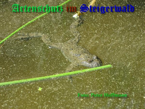 Bild zum Eintrag (1135614-160)