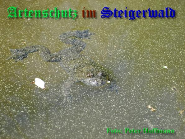 Bild zum Eintrag (1135616-160)