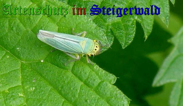 Bild zum Eintrag (1135693-160)