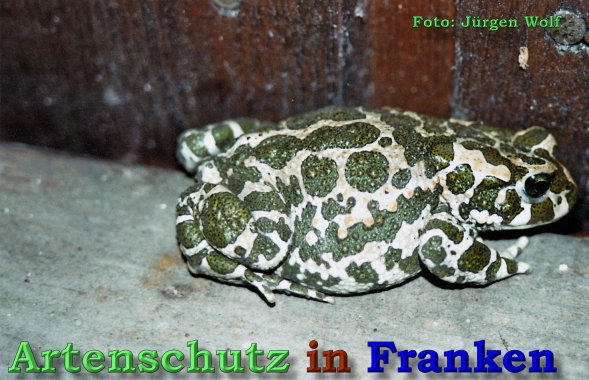 Bild zum Eintrag (1135774-160)