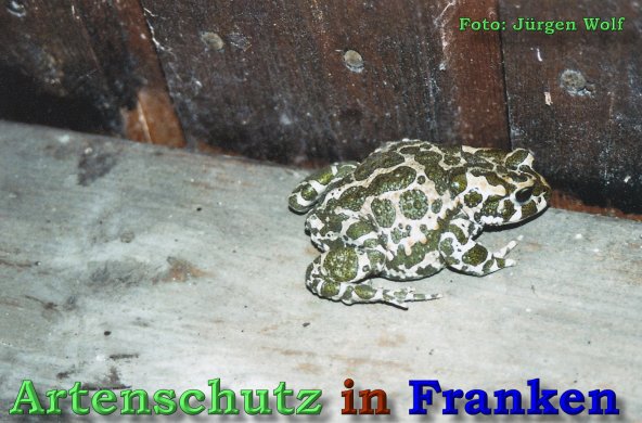 Bild zum Eintrag (1135775-160)