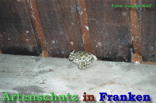 Bild zum Eintrag (1135776-160)