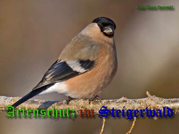 Bild zum Eintrag (1135998-160)