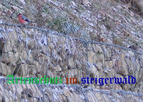 Bild zum Eintrag (1136004-160)