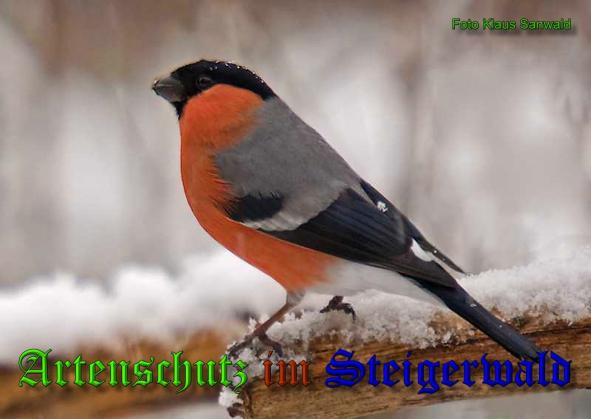 Bild zum Eintrag (1136020-160)