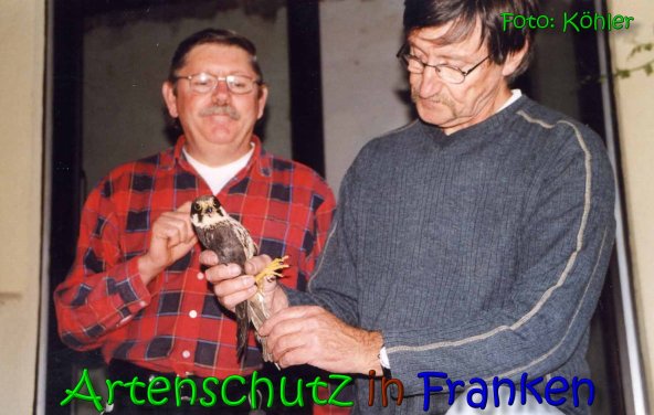 Bild zum Eintrag (1136023-160)