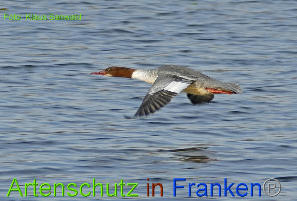 Bild zum Eintrag (1136066-160)