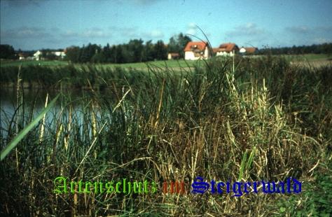 Bild zum Eintrag (1136086-160)