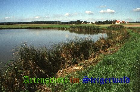 Bild zum Eintrag (1136092-160)