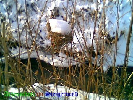 Bild zum Eintrag (1136094-160)