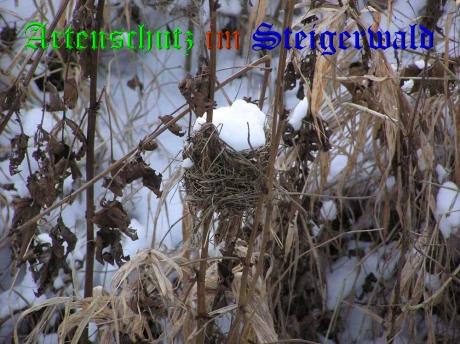 Bild zum Eintrag (1136098-160)