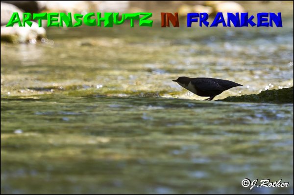 Bild zum Eintrag (1136311-160)