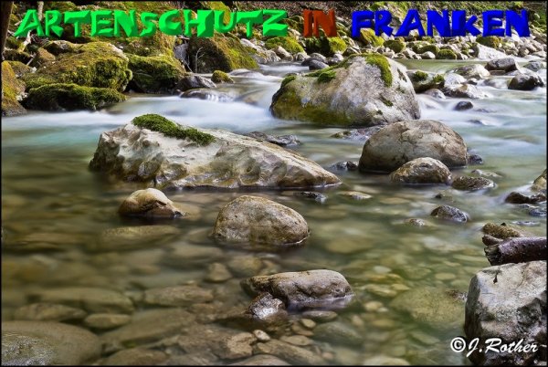 Bild zum Eintrag (1136315-160)