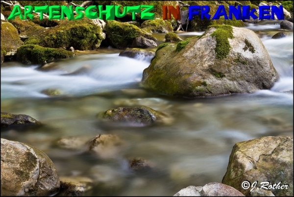 Bild zum Eintrag (1136321-160)