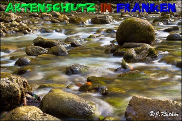 Bild zum Eintrag (1136322-160)