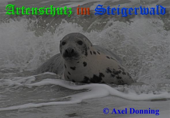 Bild zum Eintrag (1136448-160)