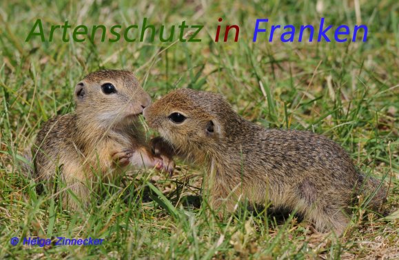 Bild zum Eintrag (1137342-160)