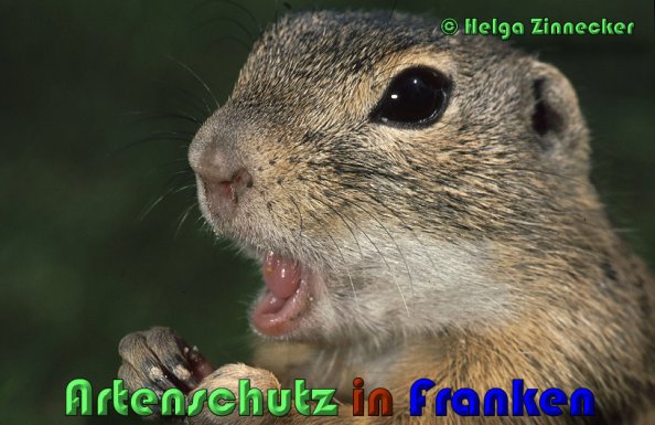 Bild zum Eintrag (1137346-160)