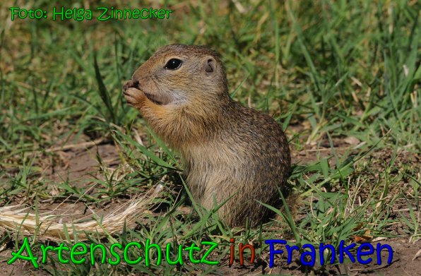 Bild zum Eintrag (1137349-160)