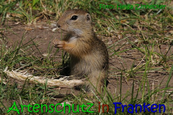 Bild zum Eintrag (1137350-160)