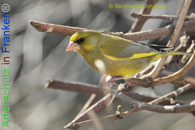 Bild zum Eintrag (1137701-160)