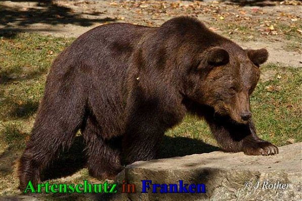 Bild zum Eintrag (1137845-160)