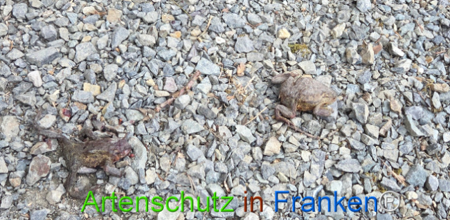 Bild zum Eintrag (1139249-160)