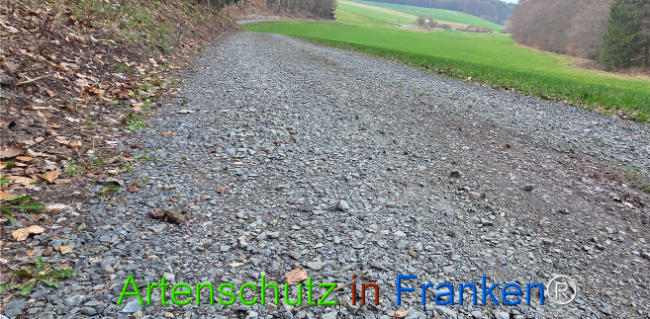 Bild zum Eintrag (1139250-160)