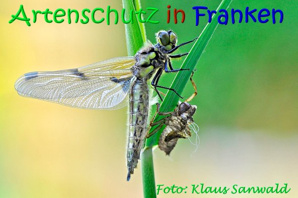 Bild zum Eintrag (1139327-160)