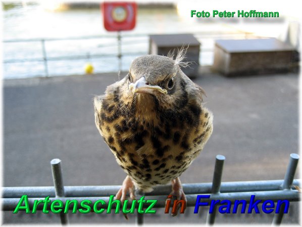 Bild zum Eintrag (1139535-160)