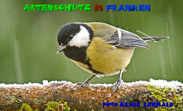 Bild zum Eintrag (1139542-160)