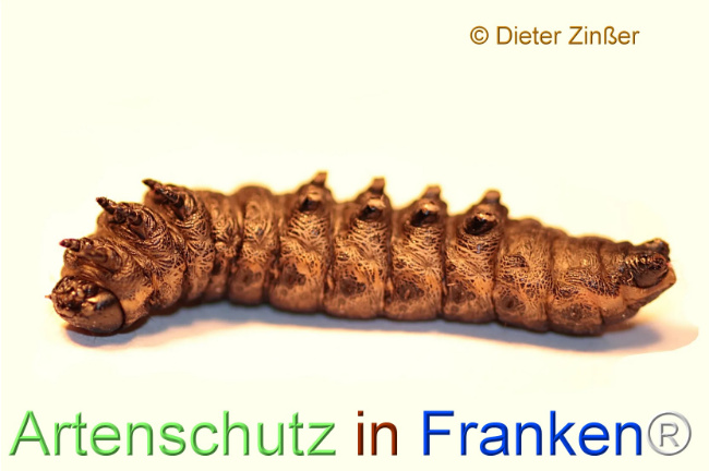 Bild zum Eintrag (1139704-160)