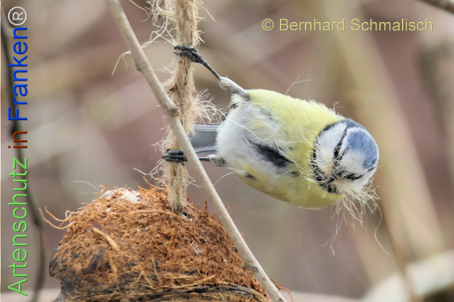 Bild zum Eintrag (1139847-160)