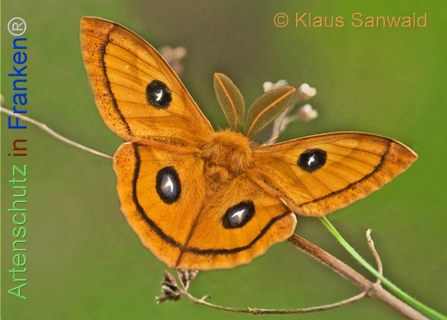 Bild zum Eintrag (1139866-160)