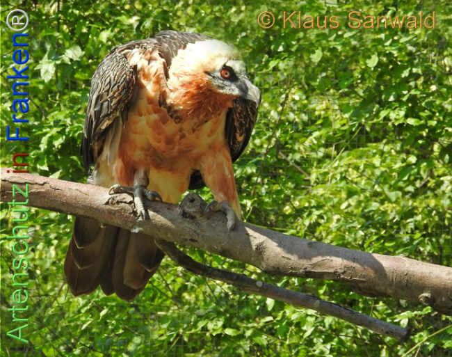 Bild zum Eintrag (1139879-160)