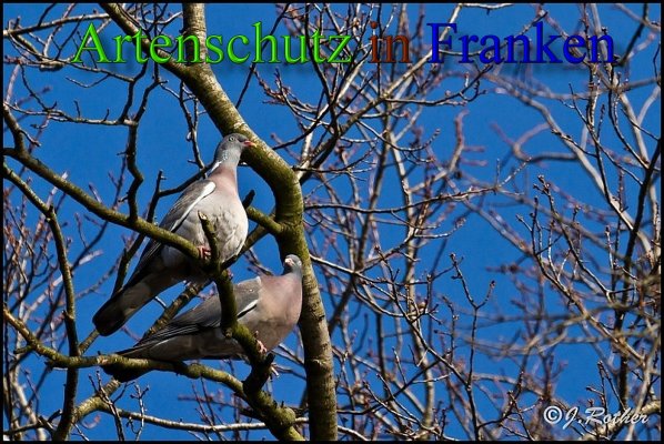 Bild zum Eintrag (1139880-160)