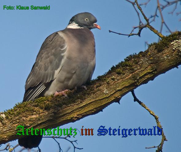 Bild zum Eintrag (1139883-160)