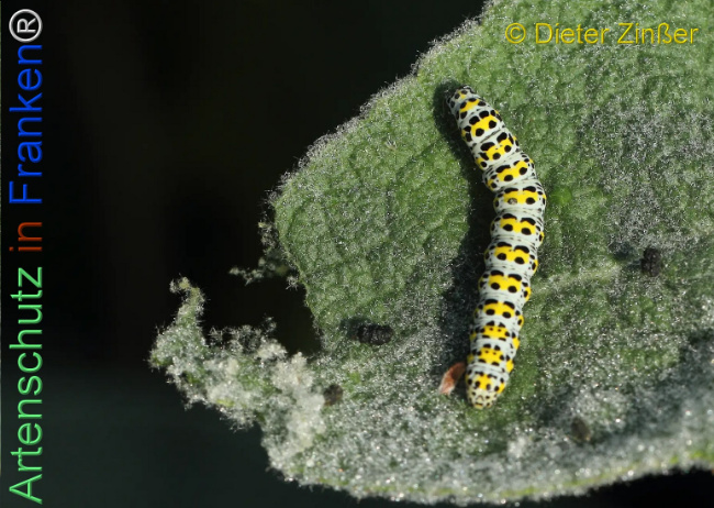 Bild zum Eintrag (1140143-160)