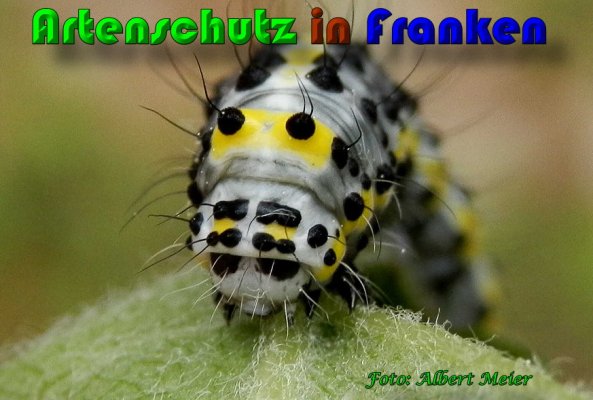 Bild zum Eintrag (1140150-160)