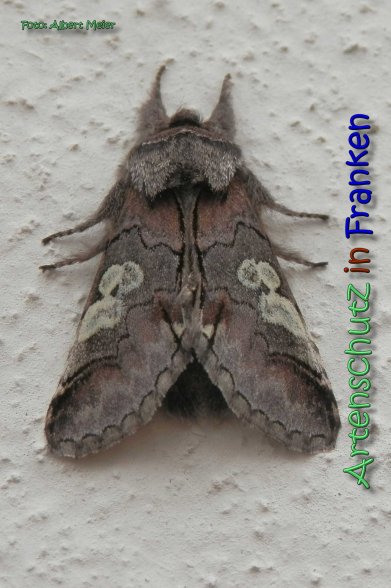 Bild zum Eintrag (1140152-160)