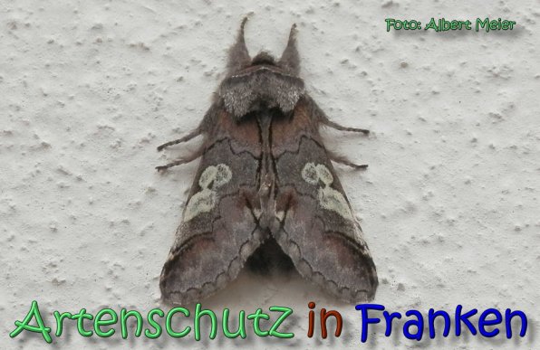 Bild zum Eintrag (1140154-160)