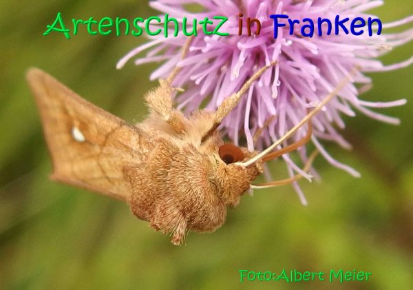 Bild zum Eintrag (1140162-160)