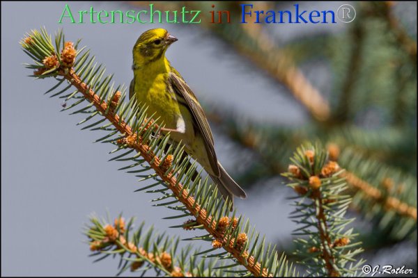 Bild zum Eintrag (1140410-160)