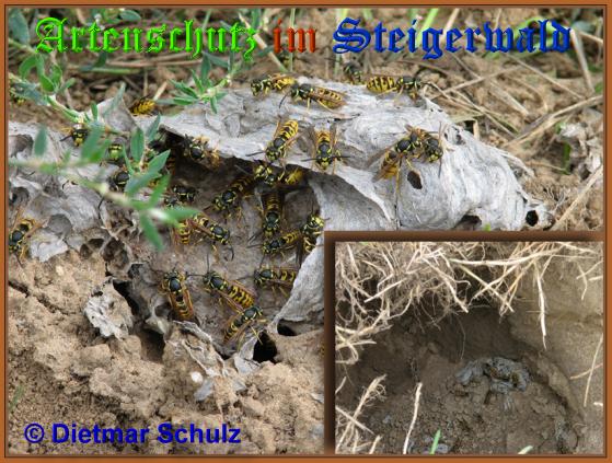 Bild zum Eintrag (1140858-160)