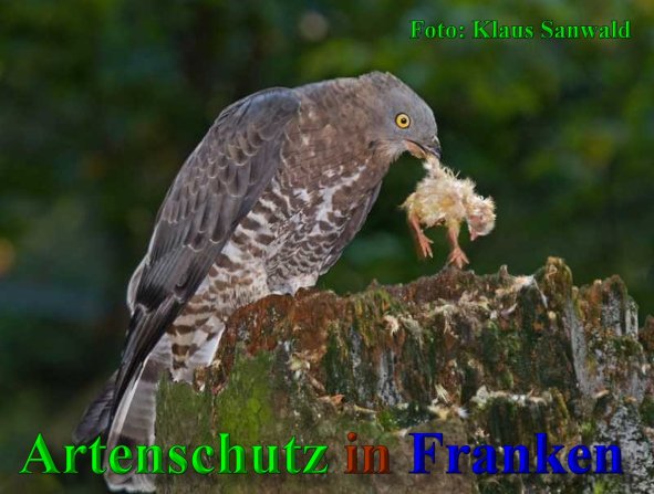 Bild zum Eintrag (1140860-160)