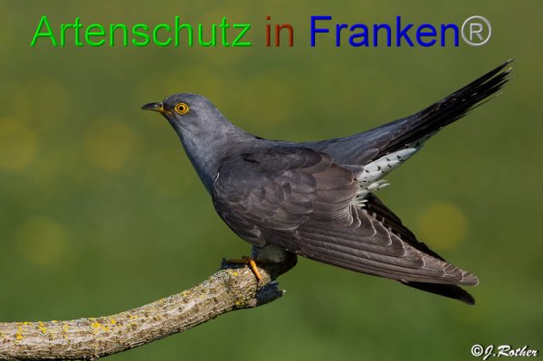Bild zum Eintrag (1141797-160)