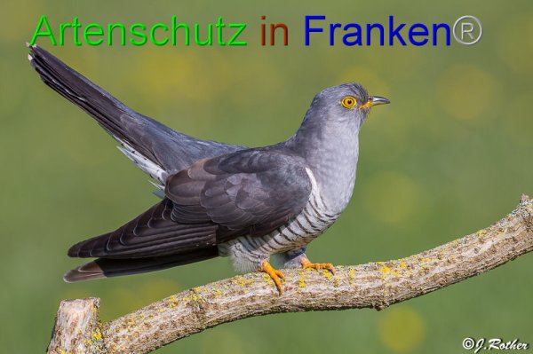Bild zum Eintrag (1141798-160)